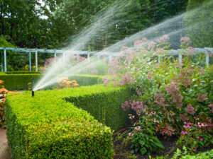automatische Gartenbewässerung mit Beregnungsanlage und Rasensprenger für Hecken und Pflanzen im Garten